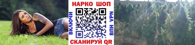 Где купить Верхний Тагил КОКАИН  Меф  ГАШ  АМФЕТАМИН  Галлюциногенные грибы  Альфа ПВП  Бошки Шишки 