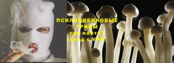 амф Ступино