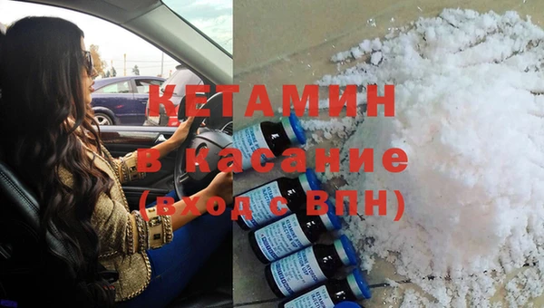 сатива Балахна