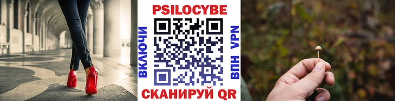 закладки  Верхний Тагил  Галлюциногенные грибы Psilocybine cubensis 
